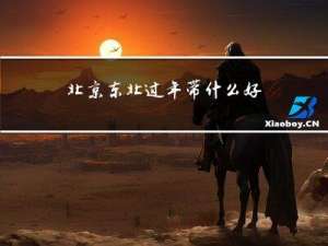 北京东北过年带什么好