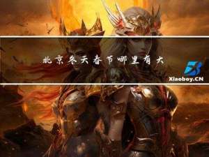 北京冬天春节哪里有大集