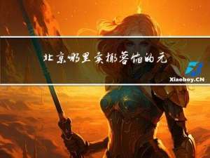 北京哪里卖椰蓉馅的元宵