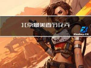 北京最美春节花卉