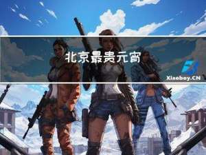 北京最贵元宵