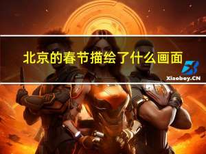 北京的春节描绘了什么画面