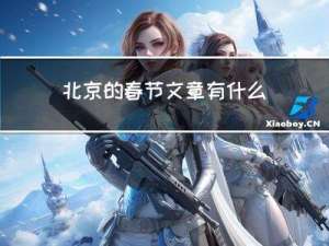 北京的春节文章有什么特点