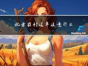 北方农村过年注意什么