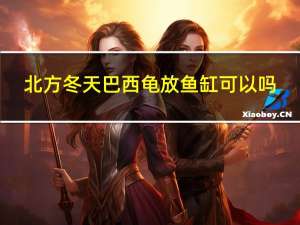 北方冬天巴西龟放鱼缸可以吗