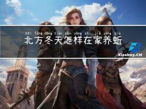 北方冬天怎样在家养蚯蚓