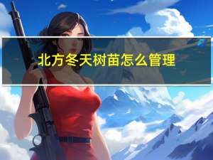 北方冬天树苗怎么管理