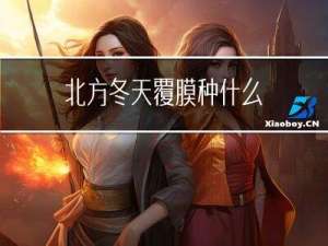 北方冬天覆膜种什么