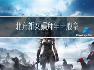 北方新女婿拜年一般拿什么
