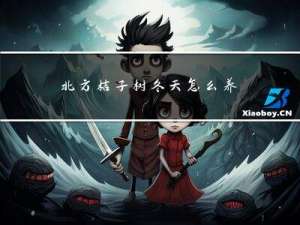 北方桔子树冬天怎么养护