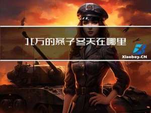 北方的燕子冬天在哪里