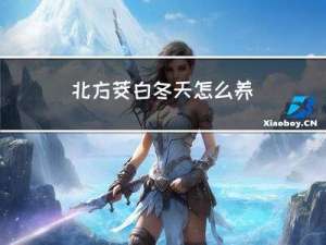 北方茭白冬天怎么养