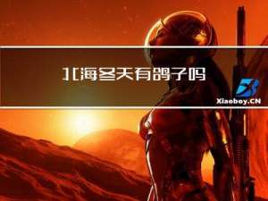 北海冬天有鸽子吗