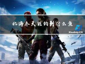 北海冬天能钓到什么鱼种