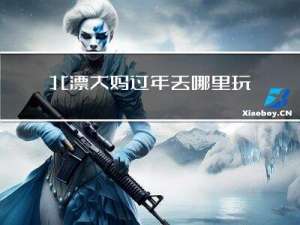 北漂大妈过年去哪里玩儿