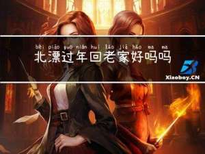 北漂过年回老家好吗吗