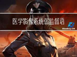 医学影像系统弱监督语义分割集成的探索