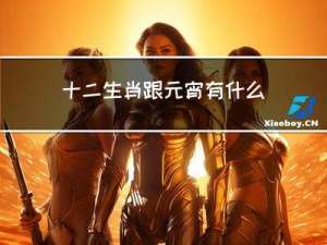 十二生肖跟元宵有什么关系