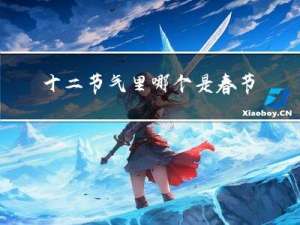 十二节气里哪个是春节