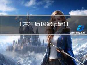 十大年度国家ip是什么