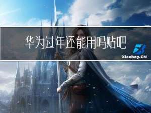 华为过年还能用吗贴吧
