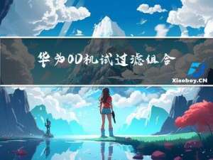 华为OD机试-过滤组合字符串-2022Q4 A卷-Py/Java/JS