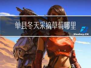 单县冬天采摘草莓哪里