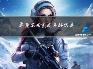 单身不回家过年好吗英文