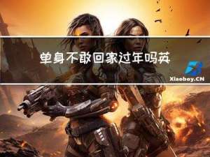 单身不敢回家过年吗英文