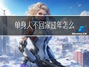 单身人不回家过年怎么办