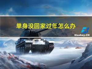 单身没回家过年怎么办