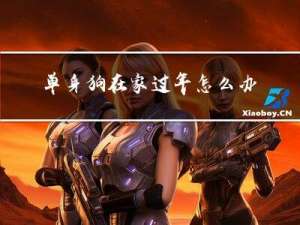 单身狗在家过年怎么办证