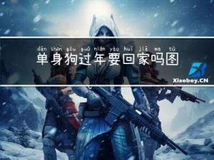 单身狗过年要回家吗图片