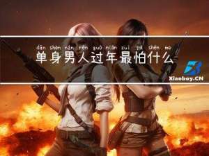 单身男人过年最怕什么女人