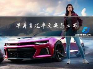 单身男过年文案怎么写