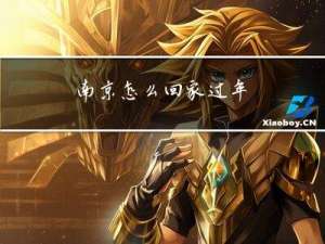 南京怎么回家过年