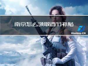 南京怎么领取春节补贴