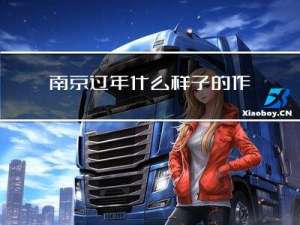 南京过年什么样子的作文