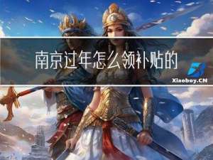 南京过年怎么领补贴的