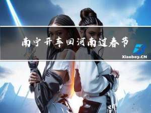 南宁开车回河南过春节吗
