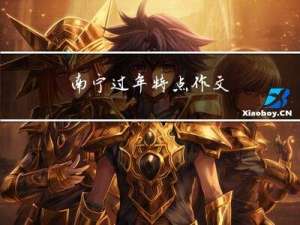 南宁过年特点作文