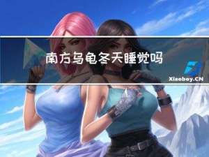 南方乌龟冬天睡觉吗