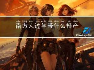 南方人过年带什么特产