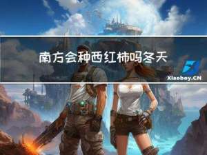 南方会种西红柿吗冬天