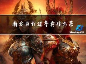 南方农村过年卖什么菜