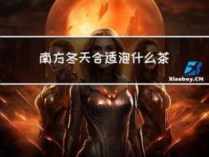 南方冬天合适泡什么茶叶