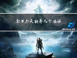 南方冬天能养几个鸡仔