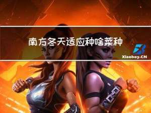 南方冬天适应种啥菜种