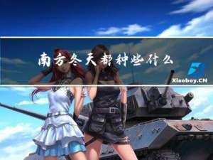 南方冬天都种些什么