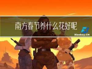 南方春节养什么花好呢